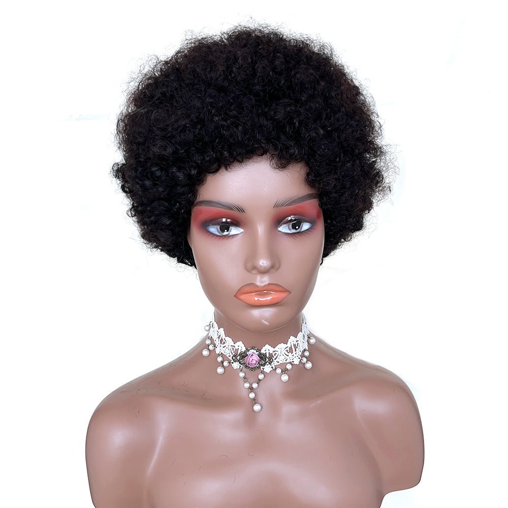 African Small Curls Cornrow Braid Synthetic Wig Middle Part Long Curly Hair - WigWonders