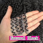 100% Human Hair Kinky Curly Wig with Bangs 10" - WigWonders