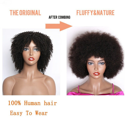 100% Human Hair Kinky Curly Wig with Bangs 10" - WigWonders