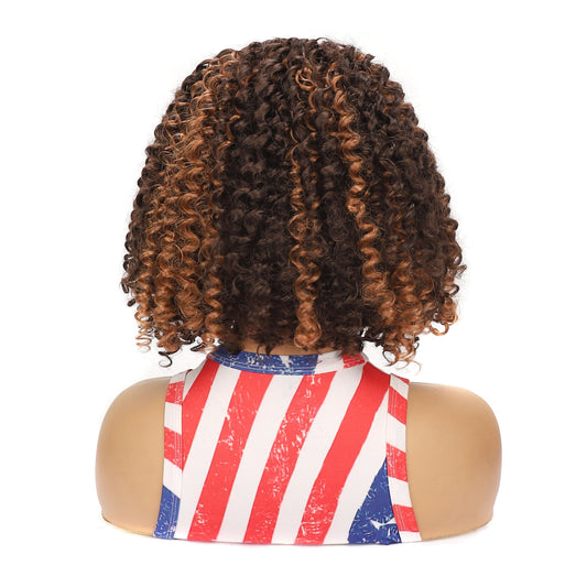 10in Brown Front Lace Curly Wig – Middle Part Short Spiral Curls - WigWonders