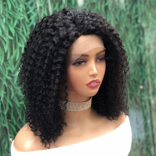 13x5x1 12in Kinky Curly Lace Front Human Hair Wig - WigWonders