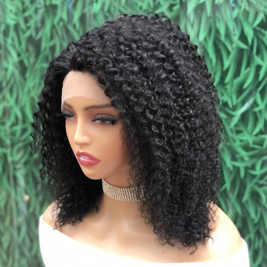 13x5x1 12in Kinky Curly Lace Front Human Hair Wig - WigWonders