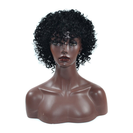 8in Synthetic Afro Puff Wig – Short Curly Volume - WigWonders