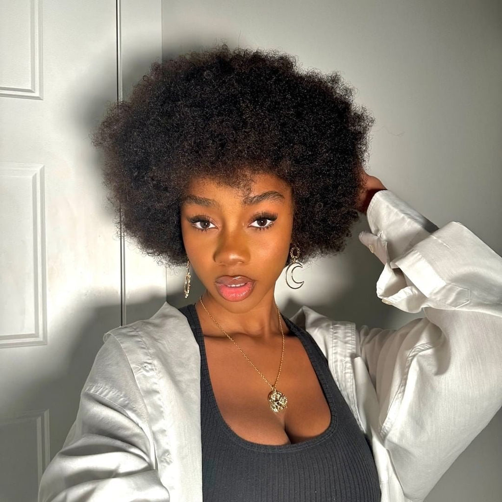 African Small Curls Cornrow Braid Synthetic Wig Middle Part Long Curly Hair - WigWonders