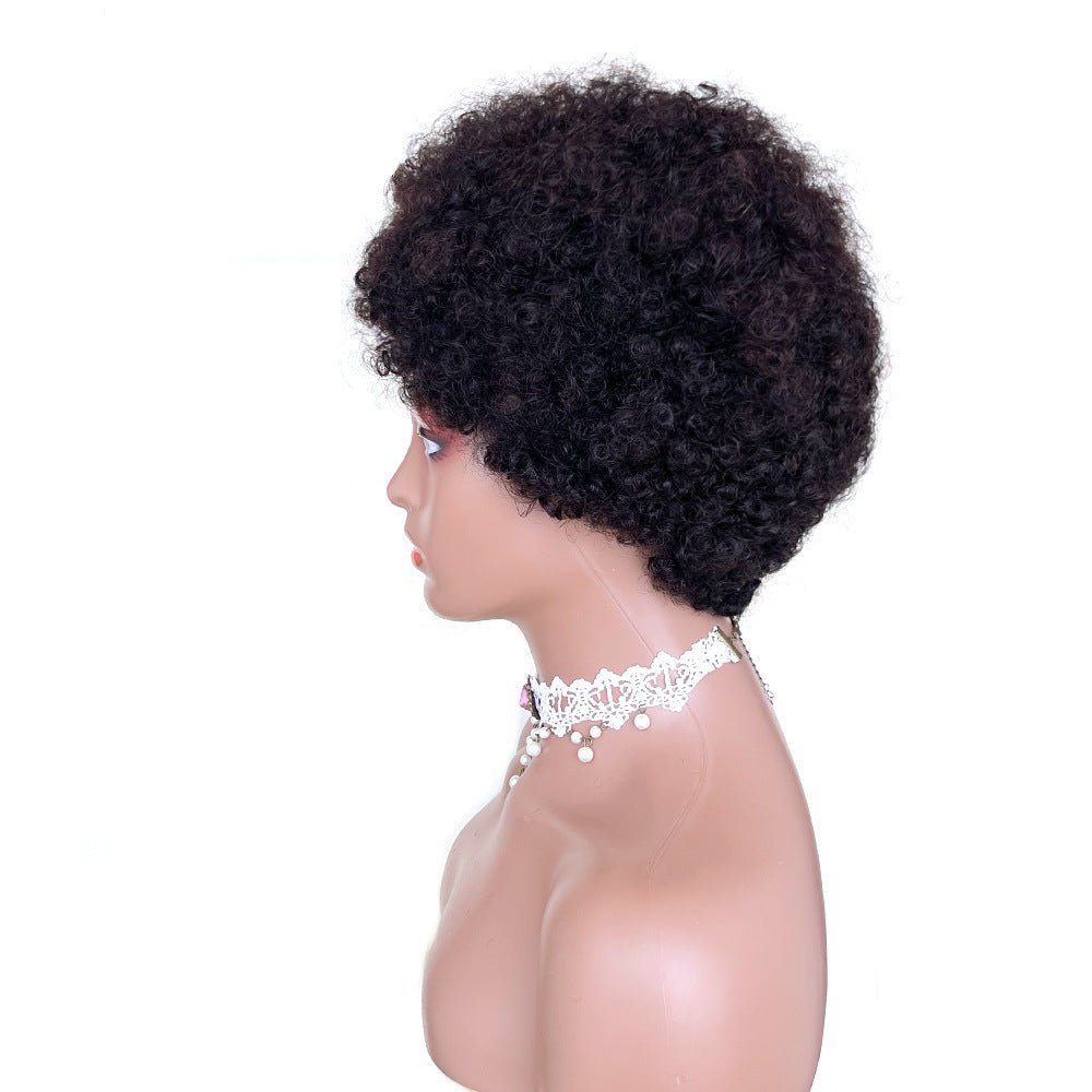 African Small Curls Cornrow Braid Synthetic Wig Middle Part Long Curly Hair - WigWonders