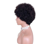 African Small Curls Cornrow Braid Synthetic Wig Middle Part Long Curly Hair - WigWonders