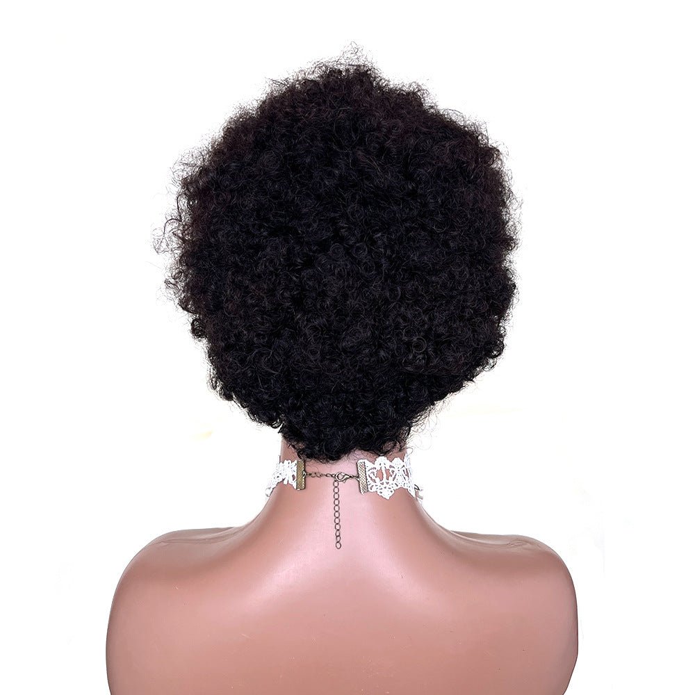 African Small Curls Cornrow Braid Synthetic Wig Middle Part Long Curly Hair - WigWonders