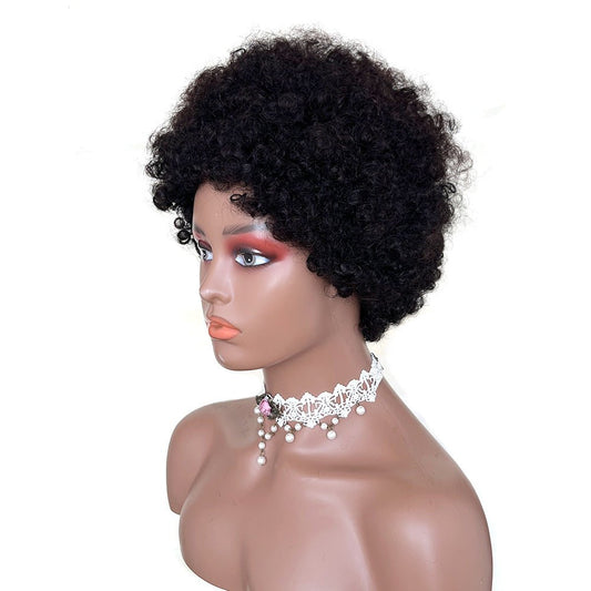 African Small Curls Cornrow Braid Synthetic Wig Middle Part Long Curly Hair - WigWonders