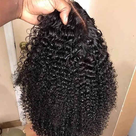 Black Kinky Curly Synthetic Lace Front Wig - Natural Looking - WigWonders