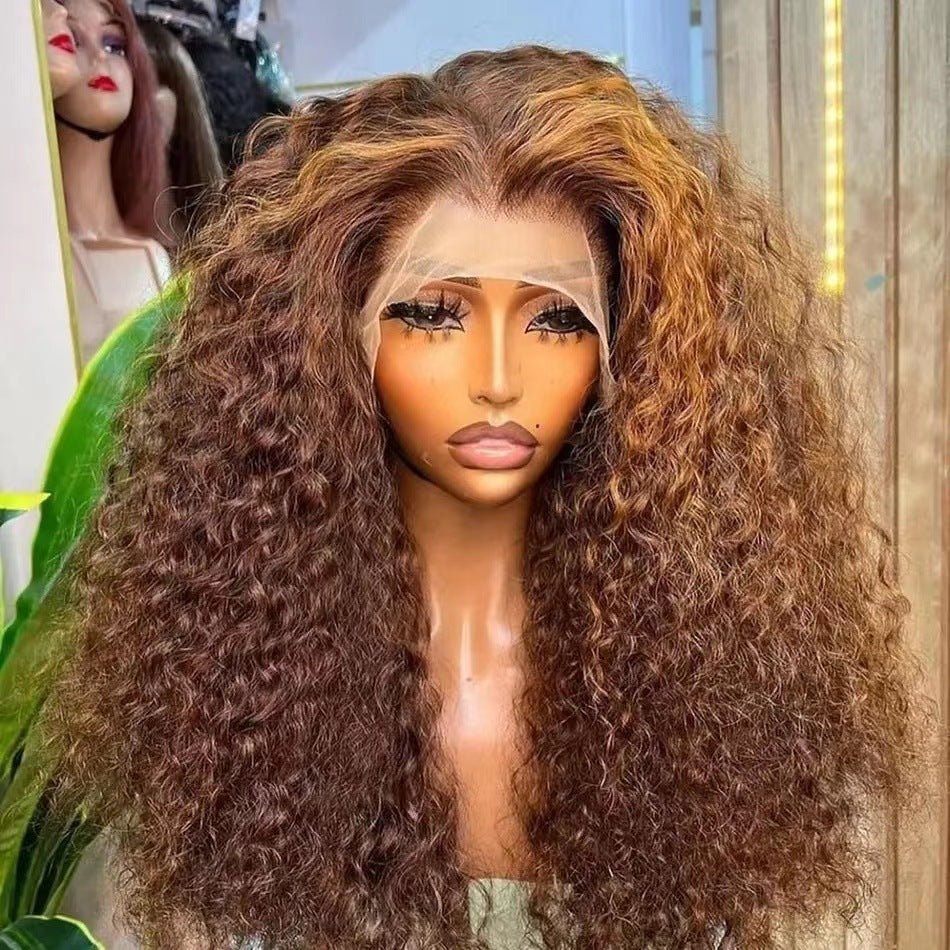 Human Hair Kinky Curly Lace Front Wig Afro Curly Long Wig - WigWonders
