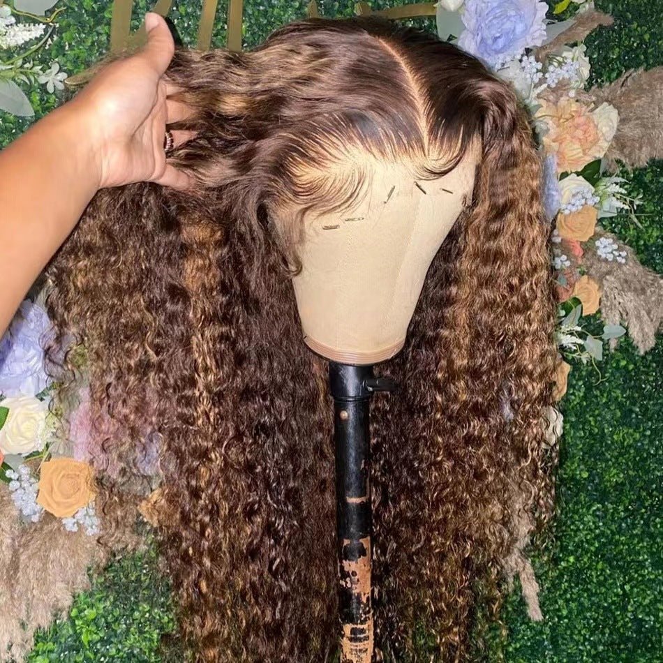 Human Hair Kinky Curly Lace Front Wig Afro Curly Long Wig - WigWonders