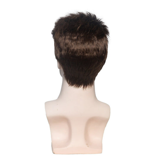 Men's Short Straight Synthetic Wig — Brown - WigWonders