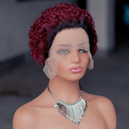 Pixie Curly 13x1 Lace Front Human Hair Wig - Short Bouncy Curls - WigWonders