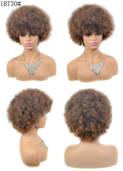 Synthetic Afro Curly Wig - Voluminous Kinky Style - WigWonders