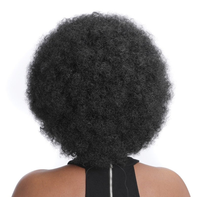 Synthetic Afro Curly Wig - Voluminous Kinky Style - WigWonders