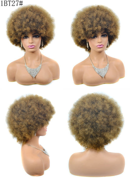 Synthetic Afro Curly Wig - Voluminous Kinky Style - WigWonders